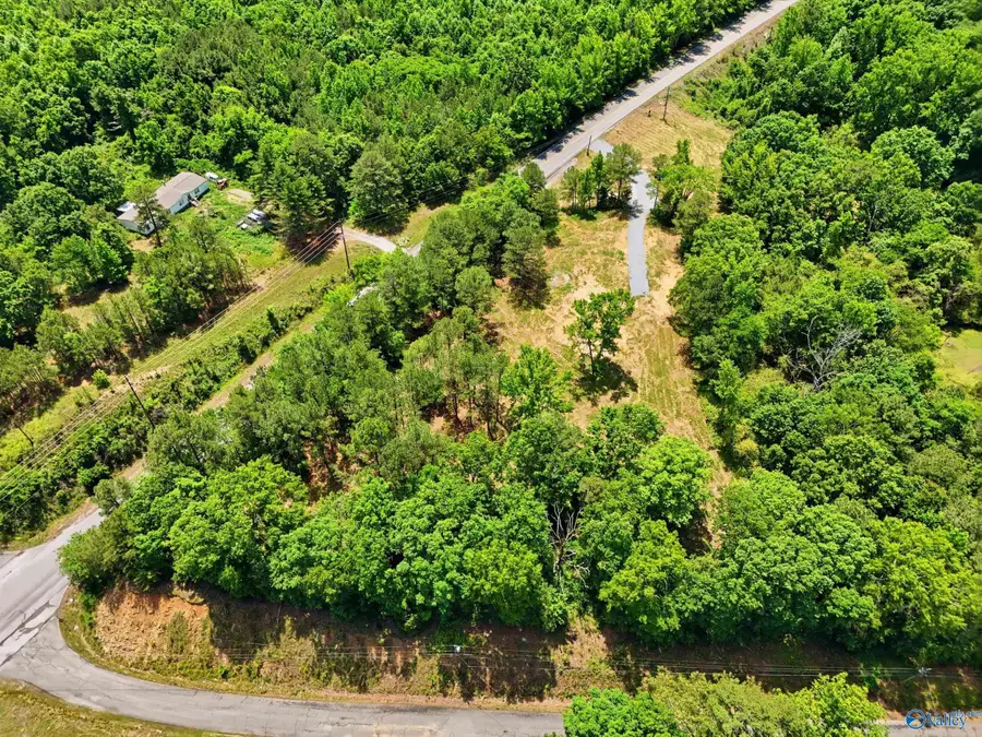 3.45 Acres Eva Road, Eva, AL 35621 - #3