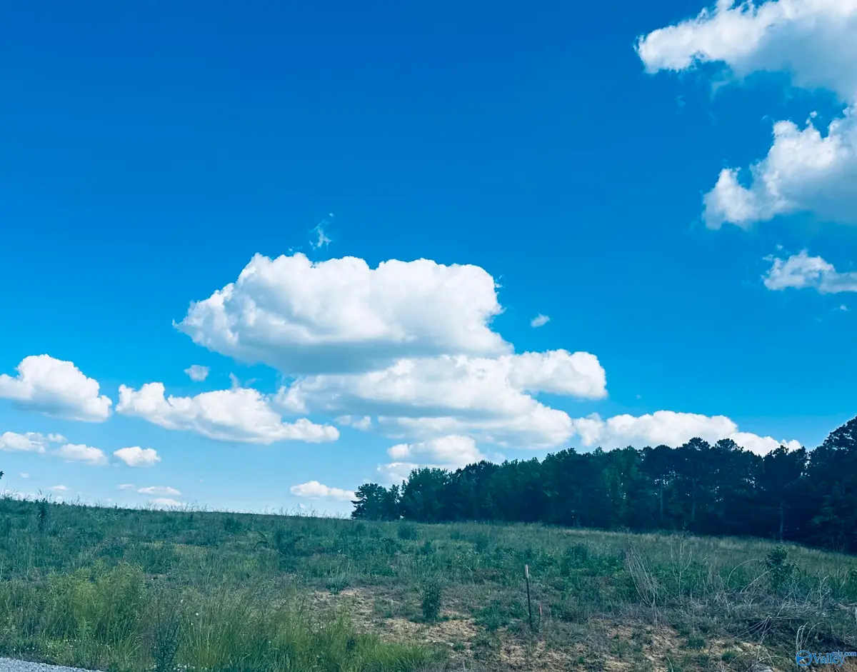 56 County Road 1171 #Lot 3, Cullman, AL 35057 - #1