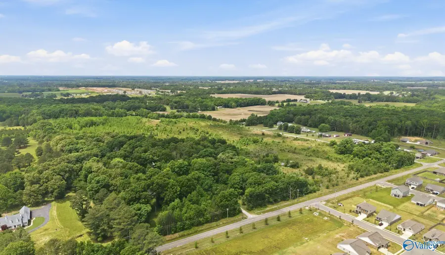 18285 Wells Road, Athens, AL 35613 - #3