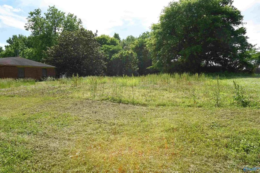 Lot 2 23rd Avenue, Decatur, AL 35601 - #2