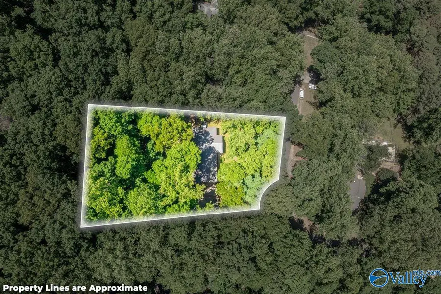 124 Catherine Drive, Owens Cross Roads, AL 35763 - #2