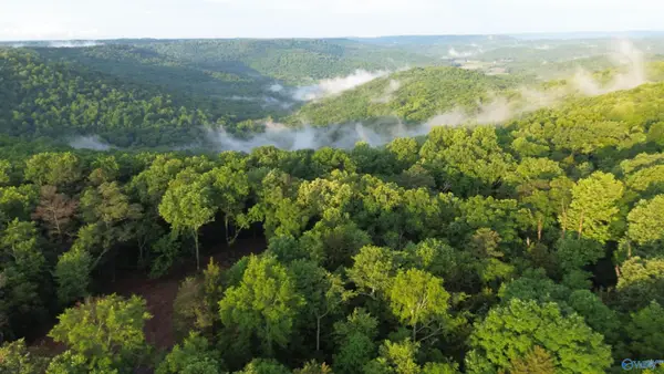 18 Paramount Drive, Grant, AL 35747