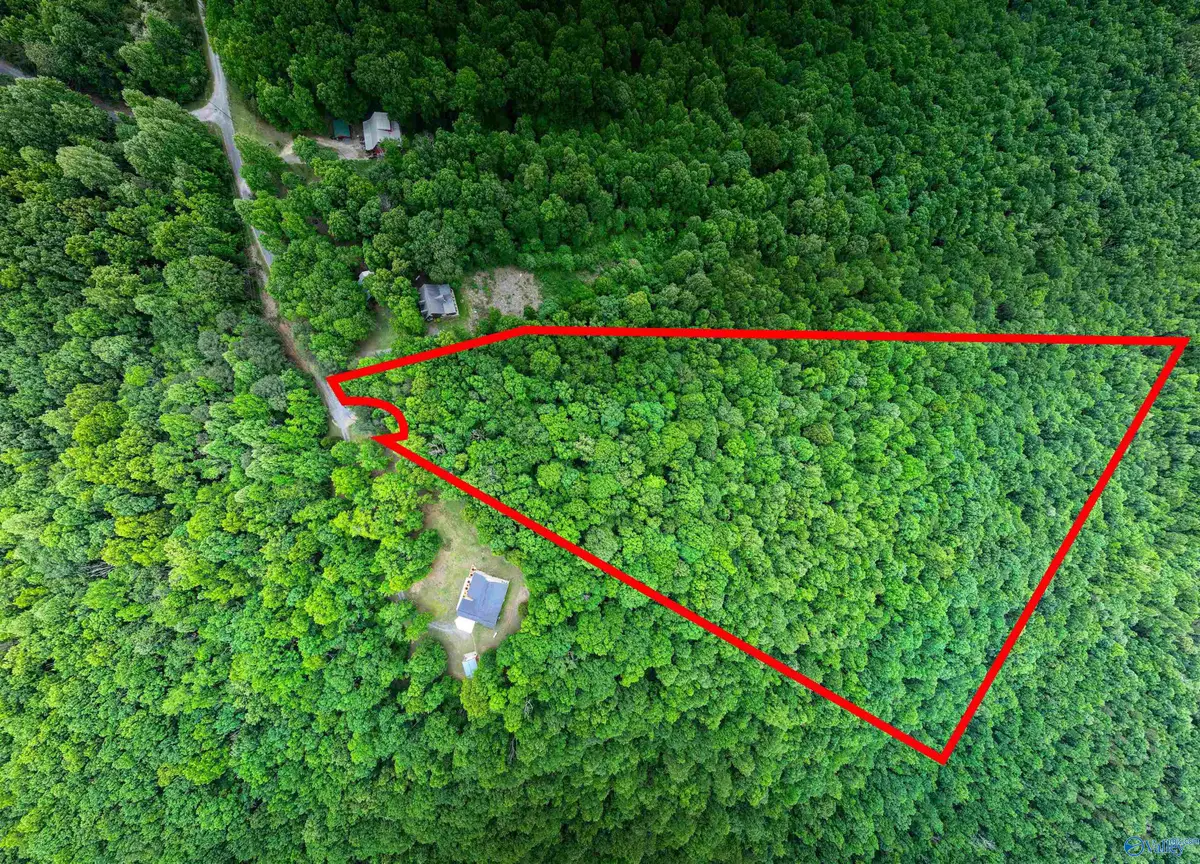 16 Acres County Road 1025, Fort Payne, AL 35967 - #1