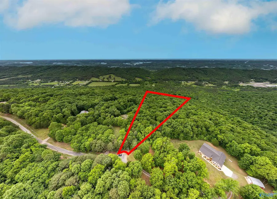 16 Acres County Road 1025, Fort Payne, AL 35967 - #2