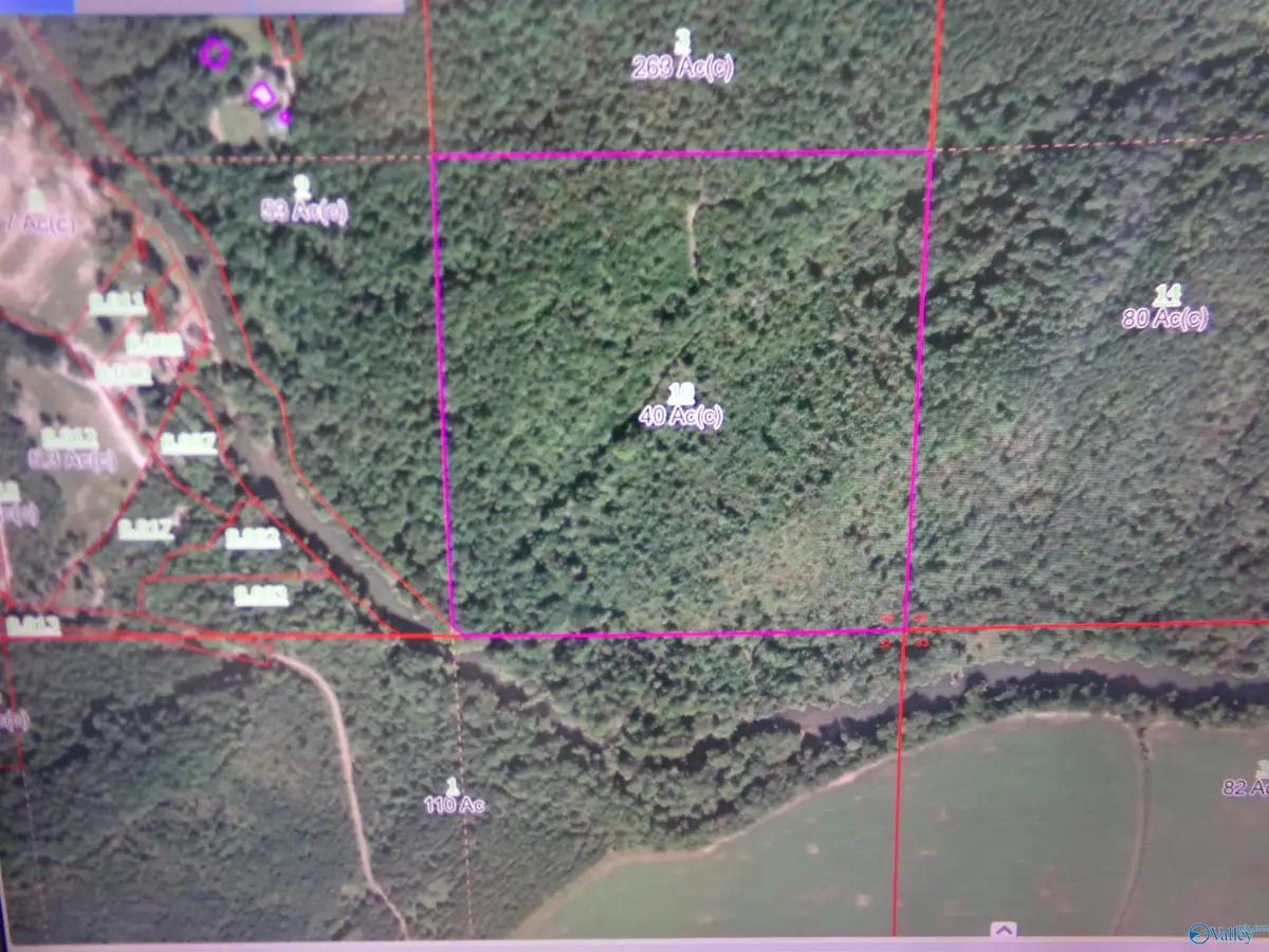 PIN # 29635 County Road 14, Centre, AL 35960 - #1