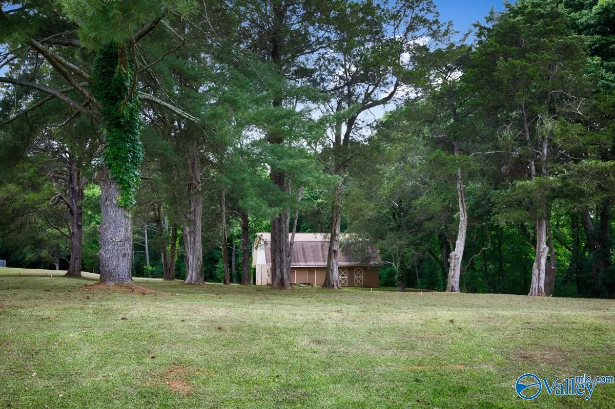 146 Springhill Drive, Huntsville, AL 35806 - #1
