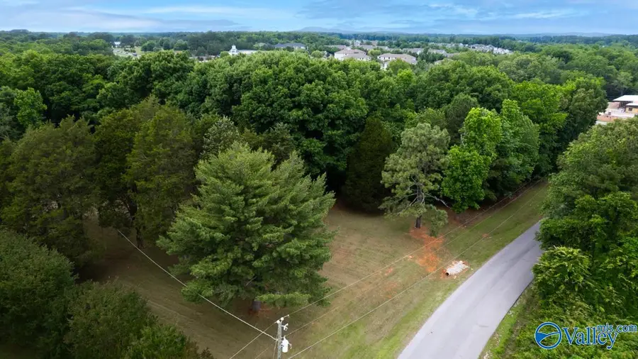 146 Springhill Drive, Huntsville, AL 35806 - #3