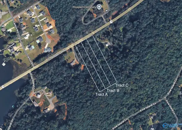Tract A15 Highway 79, Scottsboro, AL 35769
