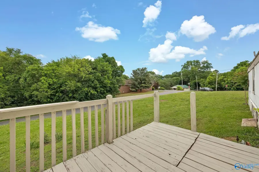1904 Williamson Street, Guntersville, AL 35976 - #3