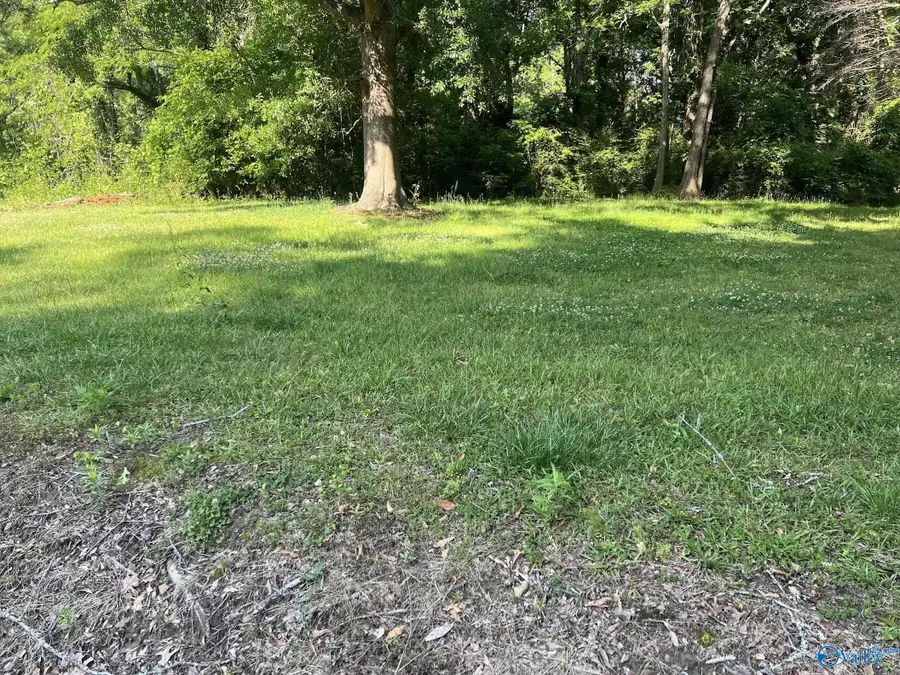 001 County Road 1354, Vinemont, AL 35179 - #3