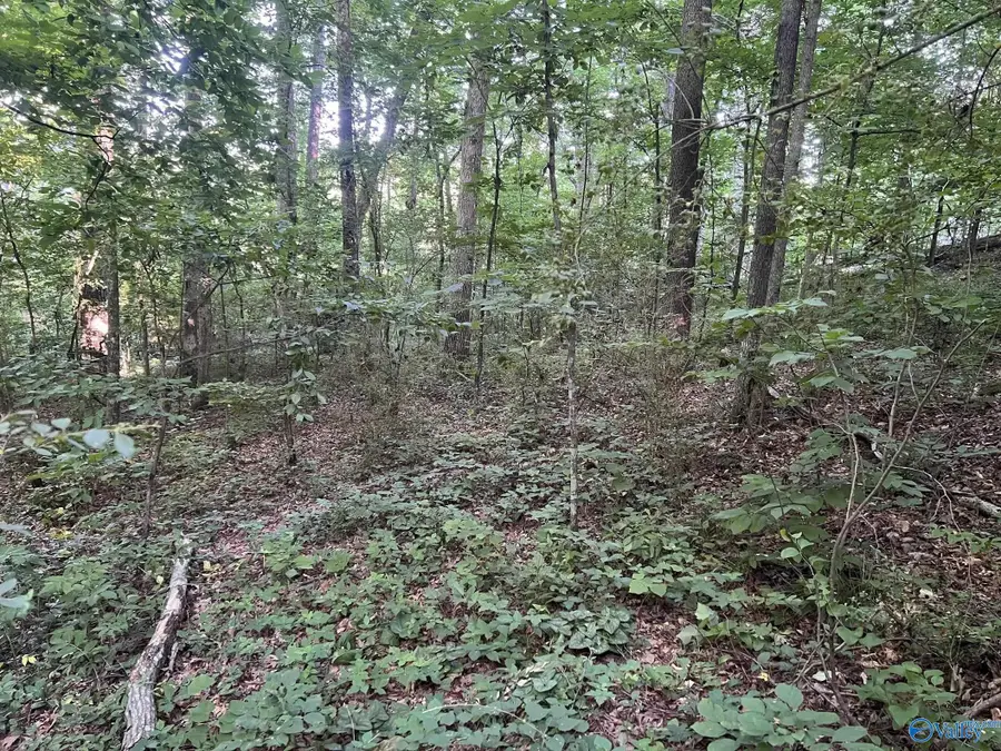 7 County Road 880, Crane Hill, AL 35053 - #2