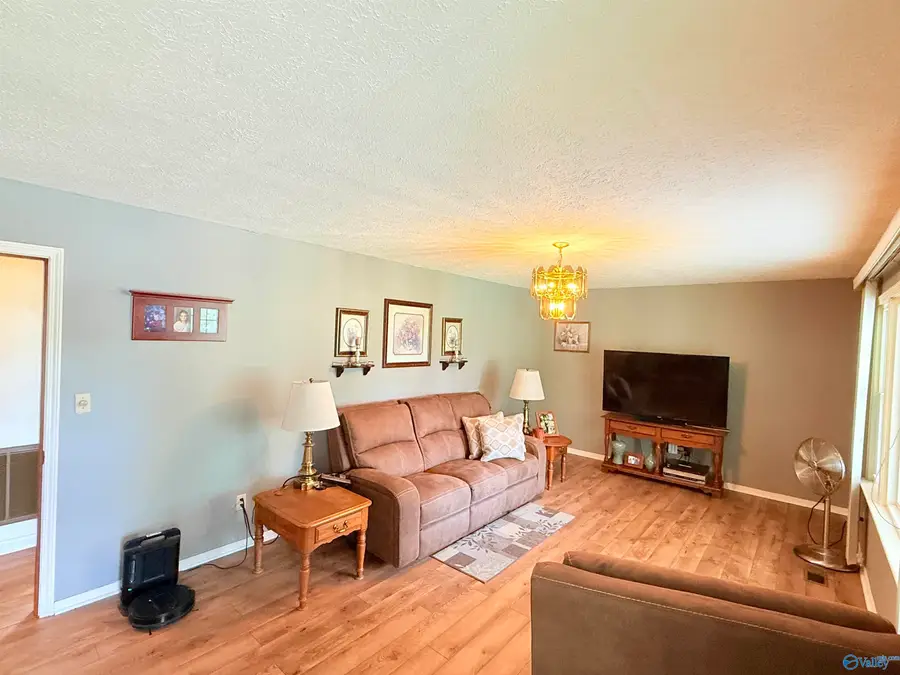 372 Snow Point Road, Guntersville, AL 35976 - #2