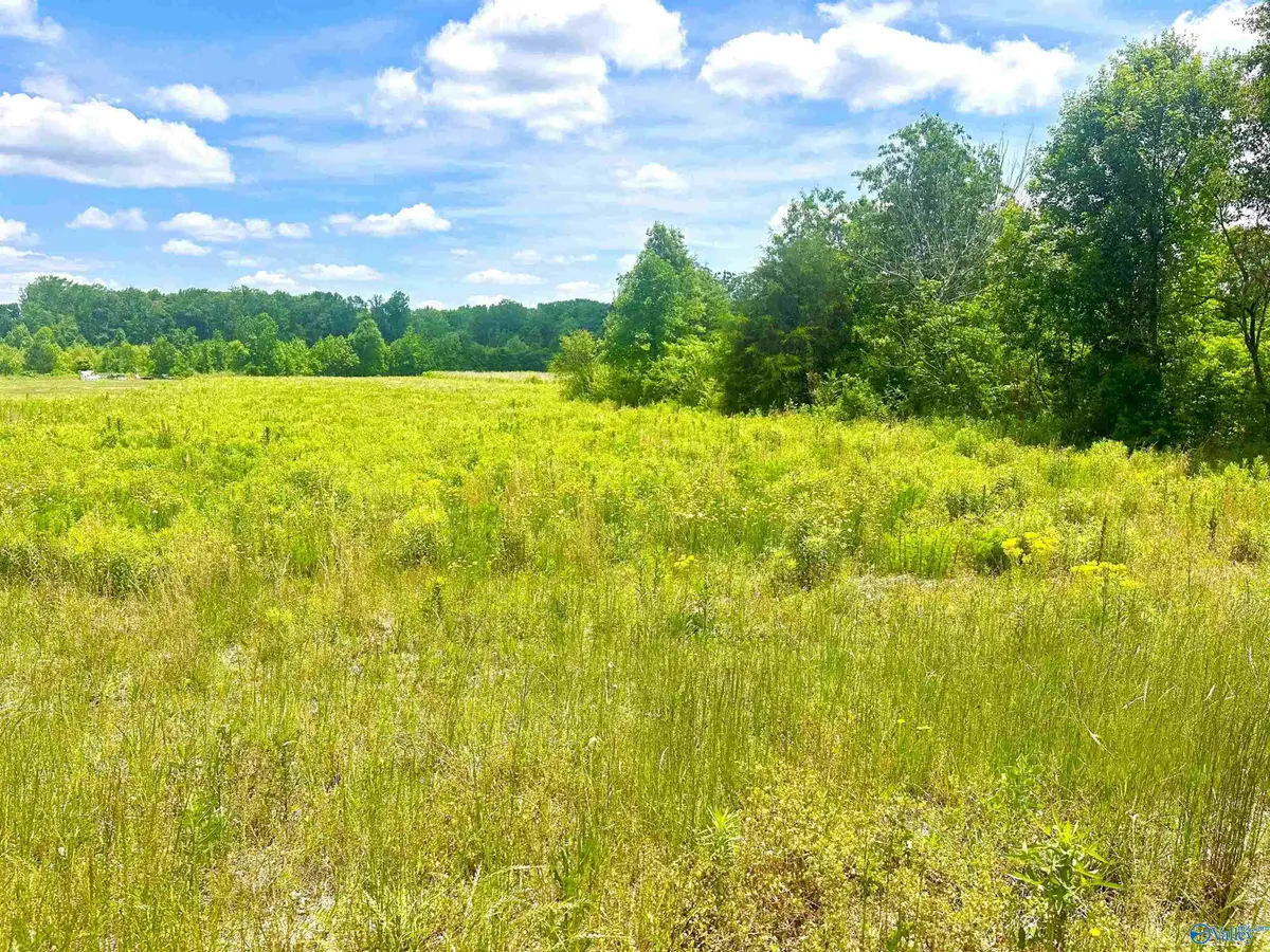 Tract 5 Loggins Road, Athens, AL 35614 - #1