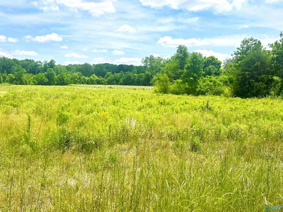 Tract 5 Loggins Road, Athens, AL 35614 - #2