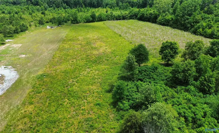 Tract 5 Loggins Road, Athens, AL 35614 - #3