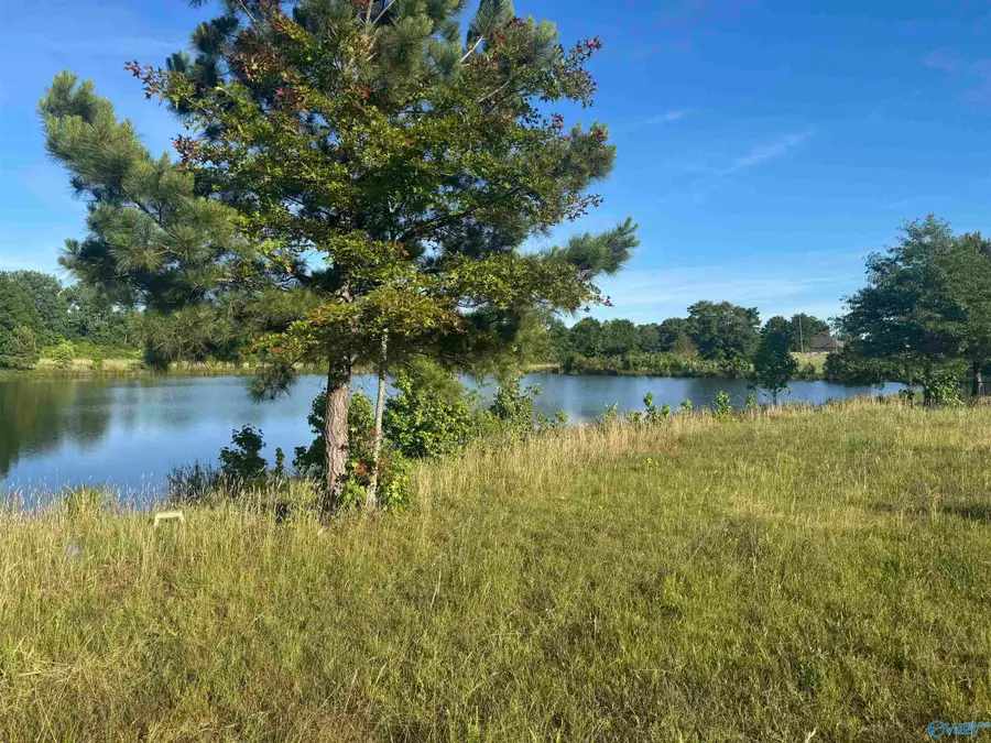 645 County Road 487, Moulton, AL 35650 - #2