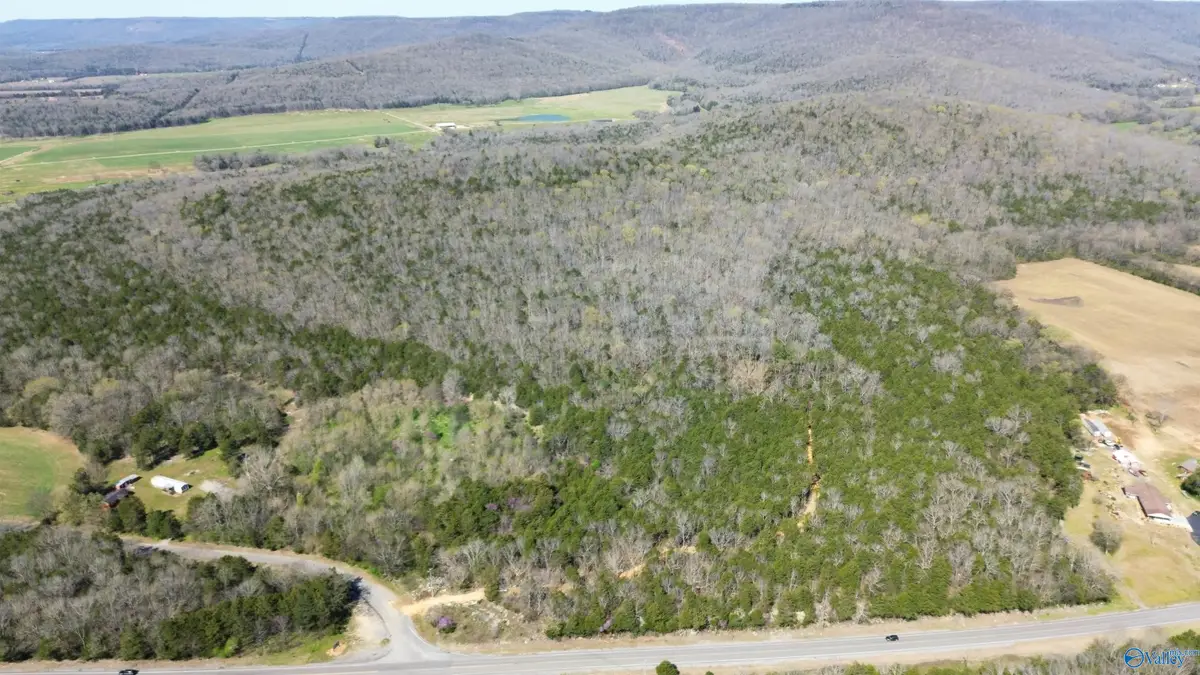 19 County Road 30, Scottsboro, AL 35768 - #1