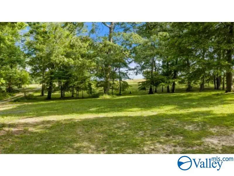 4 County Road 647, Mentone, AL 35984 - #3