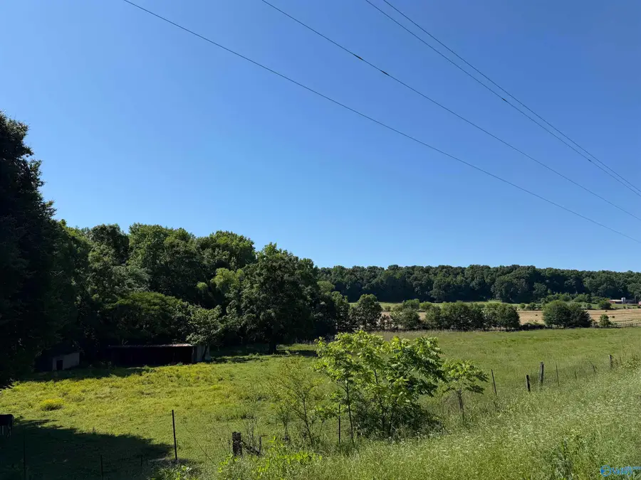 75934 Highway 231, Blountsville, AL 35031 - #3