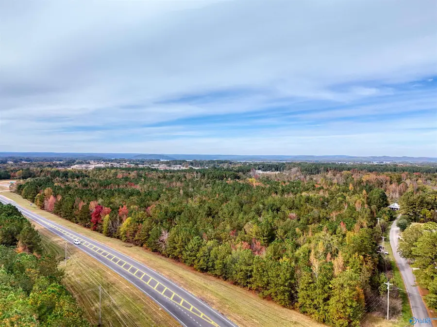 NA N Chesnut Bypass, Centre, AL 35960 - #2
