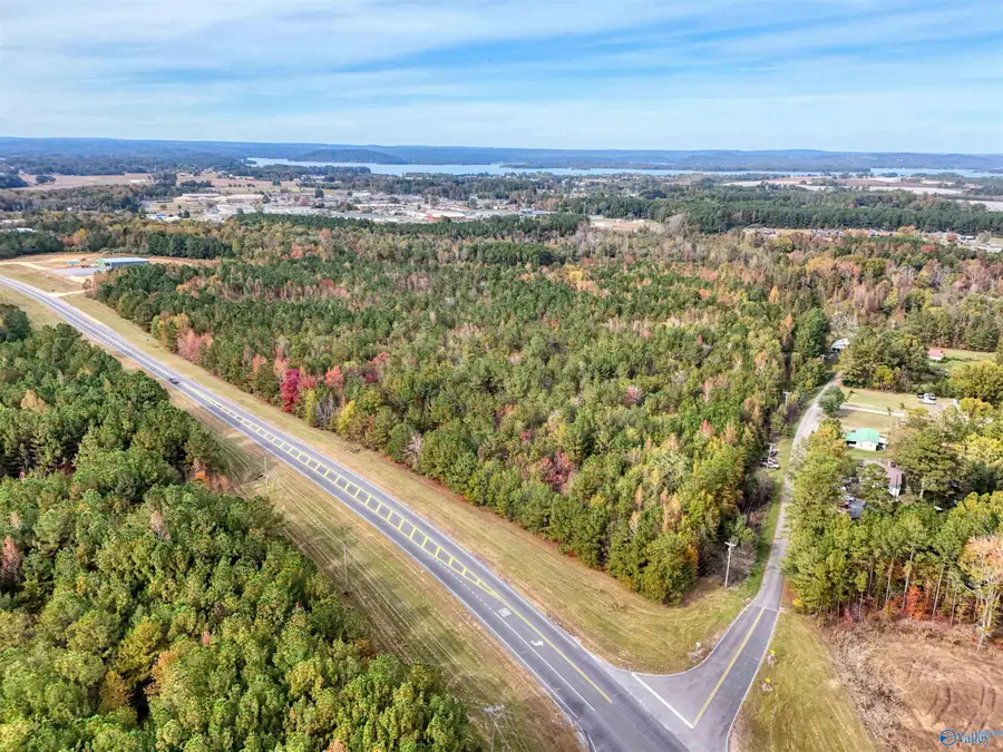 NA N Chesnut Bypass, Centre, AL 35960 - #3