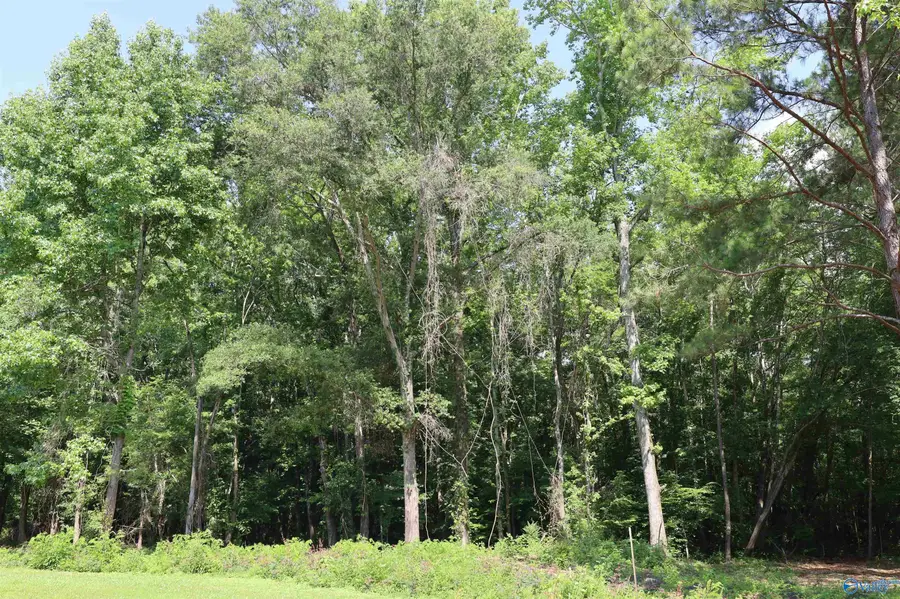 4.9 Acres Bob Jones Road, Scottsboro, AL 35768 - #2