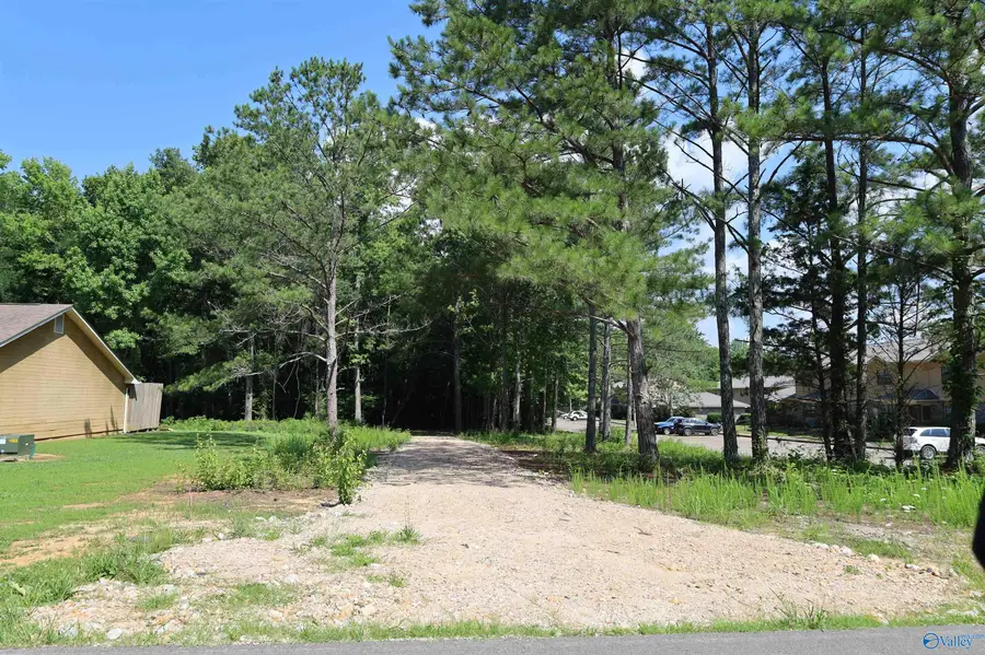 4.9 Acres Bob Jones Road, Scottsboro, AL 35768 - #3