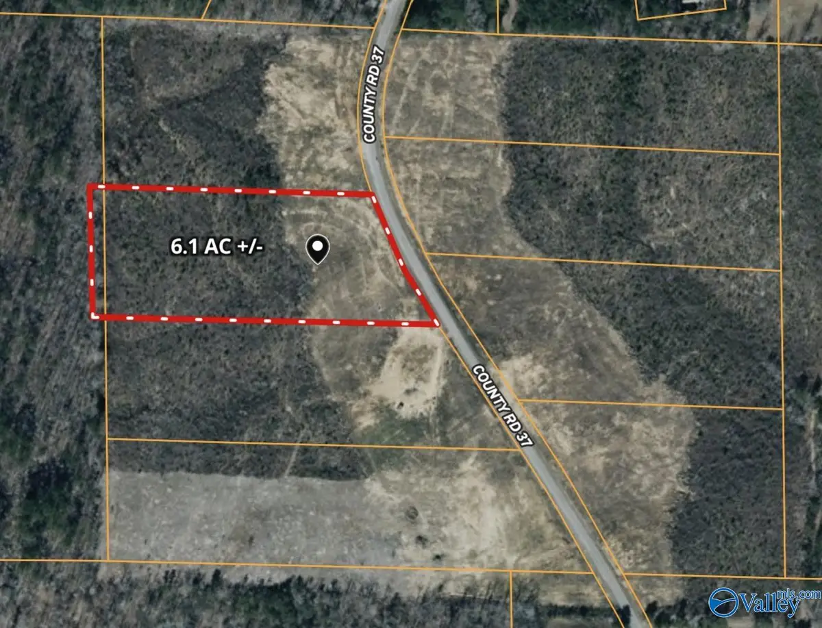 2 County Road 37, Nauvoo, AL 35578 - #1