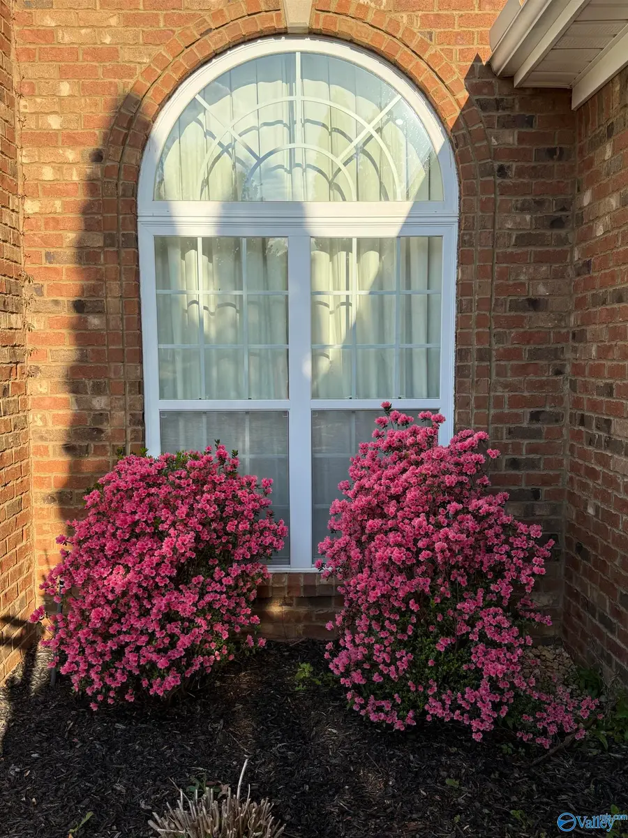 113 Mallard Cove Drive, Madison, AL 35756 - #2
