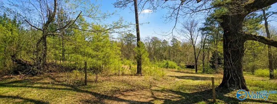 9460 Asberry Road, Warrior, AL 35180 - #2