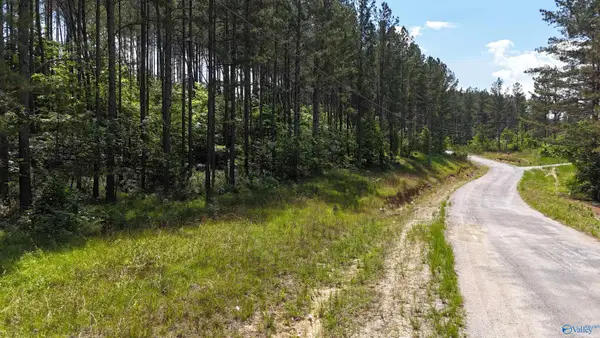 058 Pine Hills Way, Piedmont, AL 36272