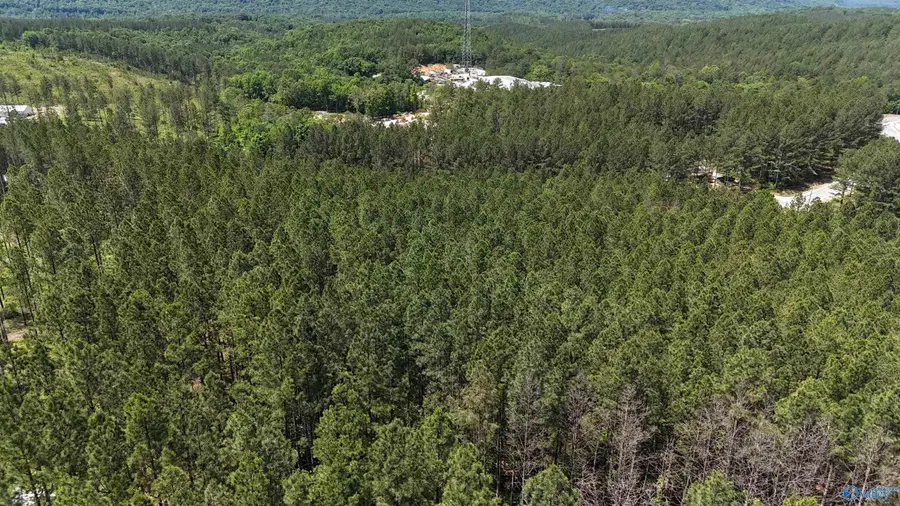 058 Pine Hills Way, Piedmont, AL 36272 - #3