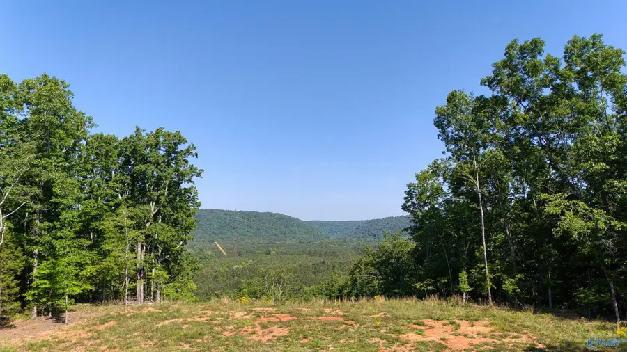 1450 County Road 137, Cedar Bluff, AL 35959 - #2