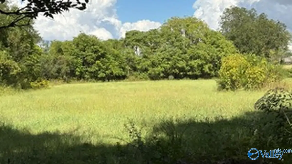 lot 1 Old Gurley Road, Huntsville, AL 35811 - #1