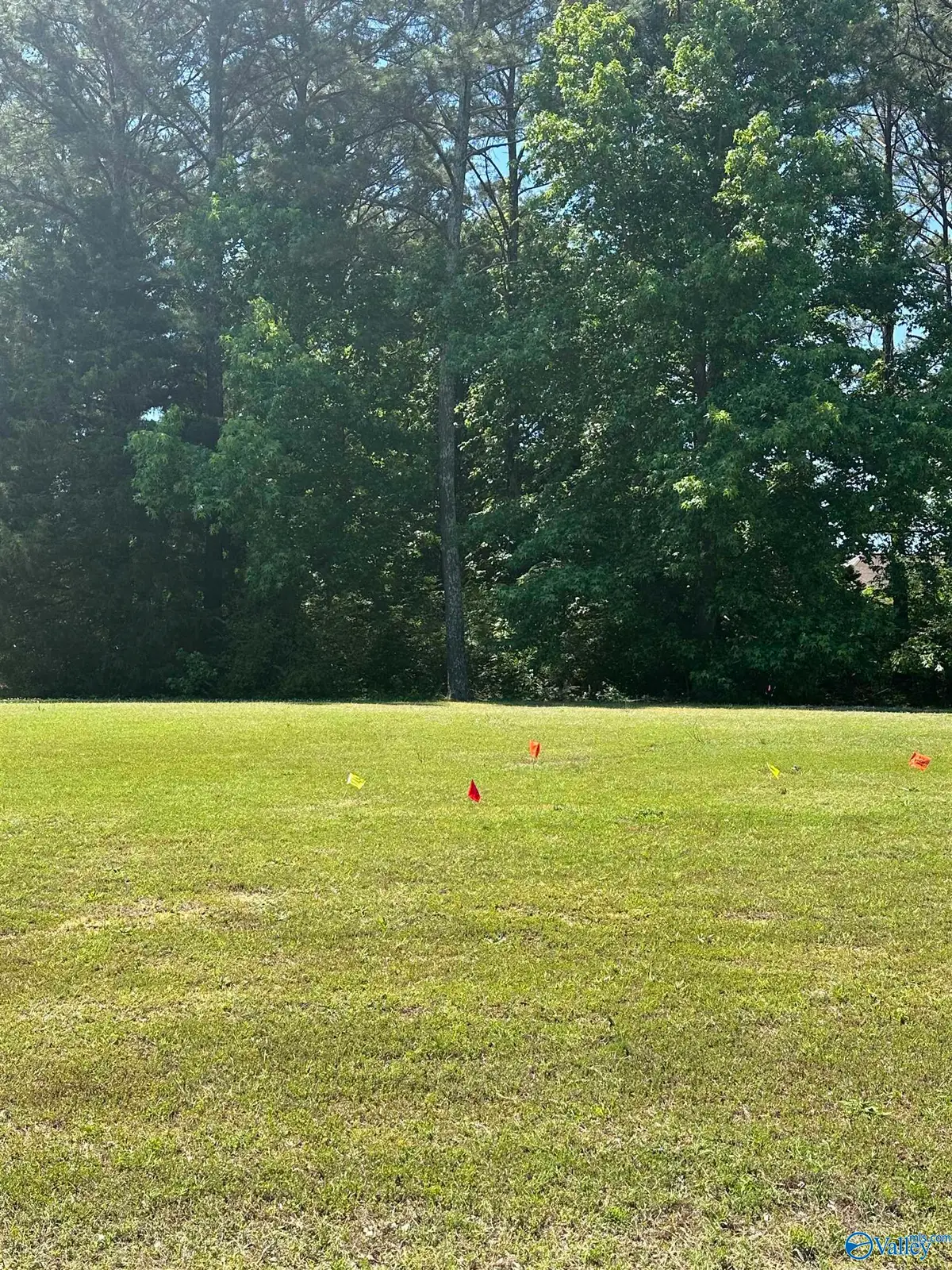 Lot V-8 Copper Leaf Walk, Gadsden, AL 35901 - #1