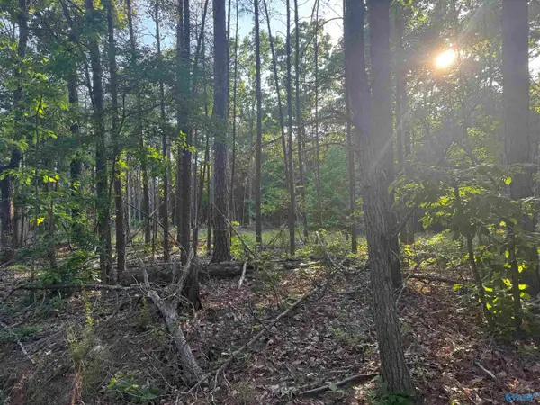 475 Summer House Mountain Road, Cherokee, AL 35616