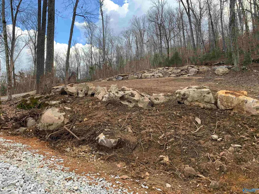 LOT 22 Snug Harbor Road, Grant, AL 35747 - #3