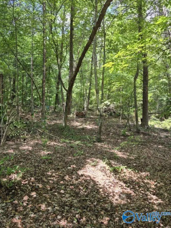 Lot 2 Cherokee County Road 275, Fort Payne, AL 35967 - #1