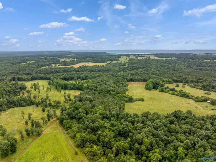 49.50 acres County Road 605, Section, AL 35771 - #3