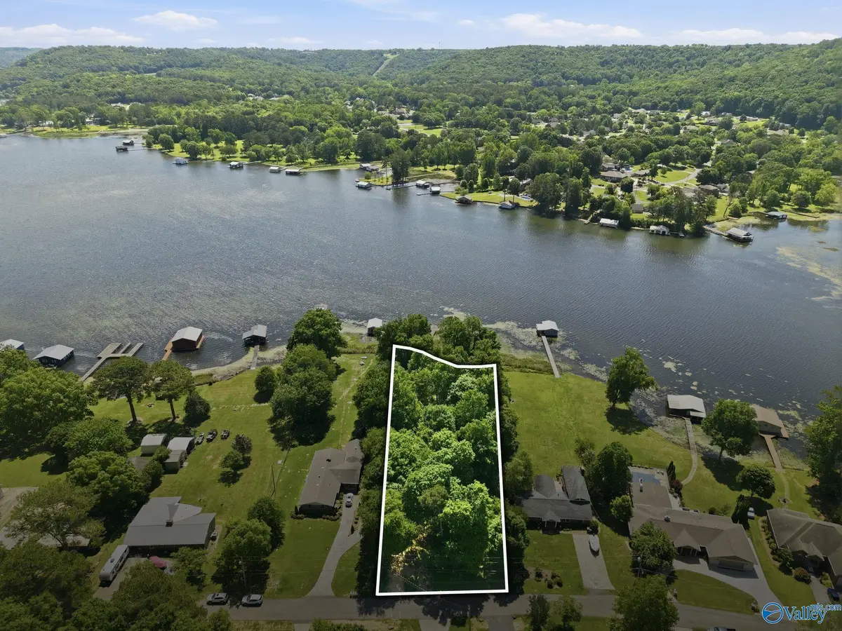 3809 Meadow Wood Circle, Guntersville, AL 35976 - #1