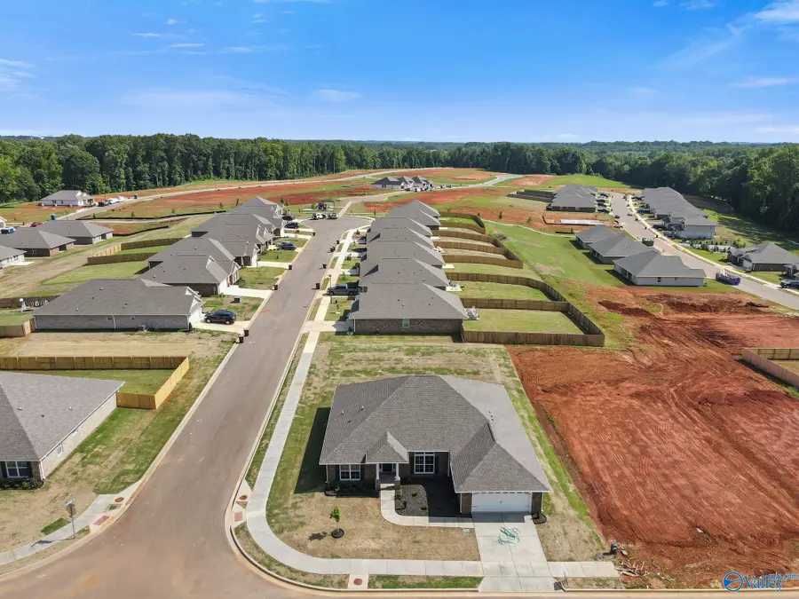 14132 Creekwater Court, Harvest, AL 35749 - #3