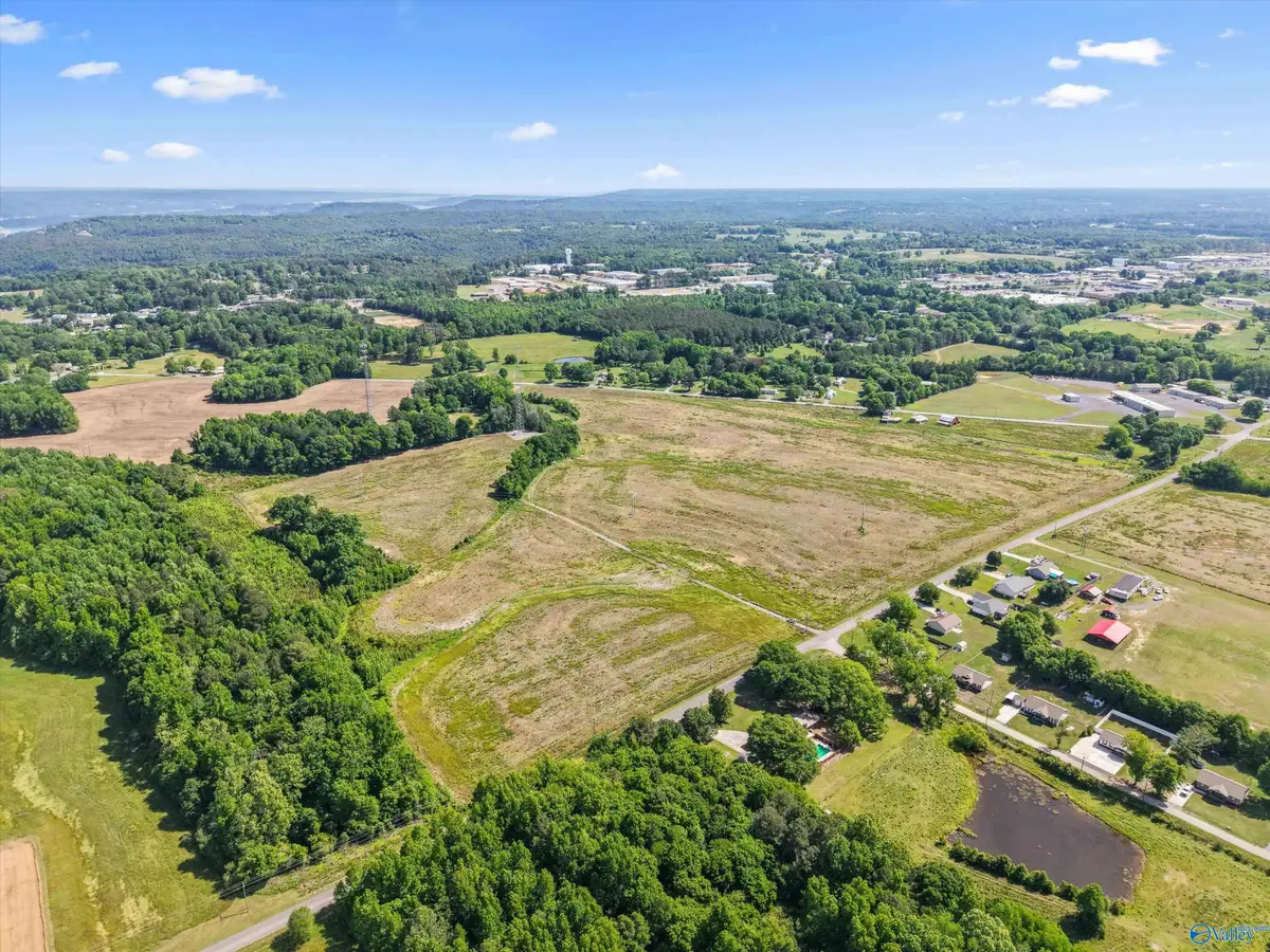 50 ac Pleasant Hill Road, Guntersville, AL 35976 - #1