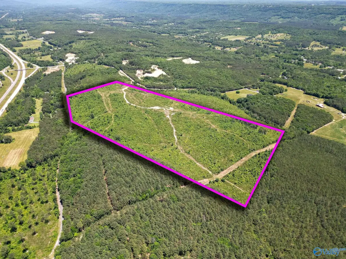 74 ACRES Bethel Road, Valley Head, AL 35989 - #1