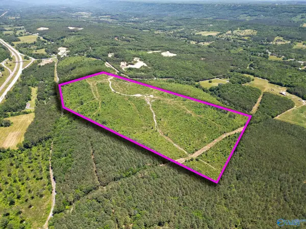 74 ACRES Bethel Road, Valley Head, AL 35989