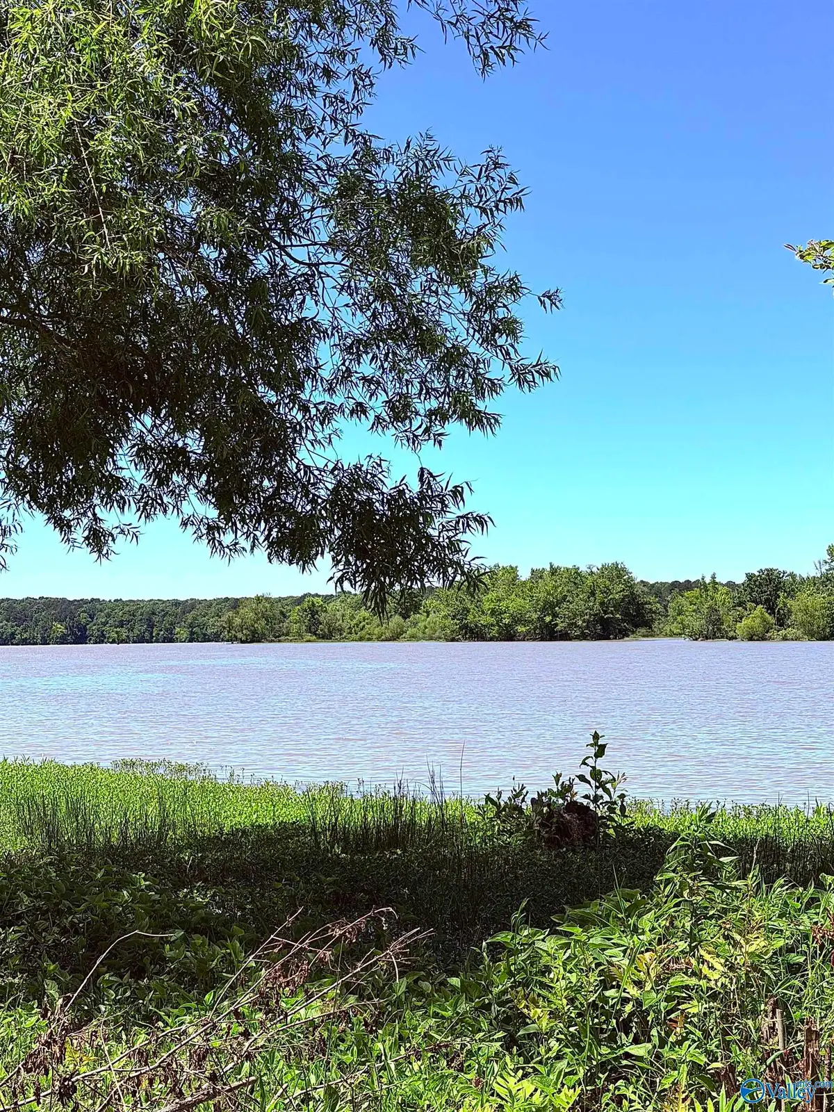 Lot 41 County Road 1008, Cedar Bluff, AL 35959 - #1