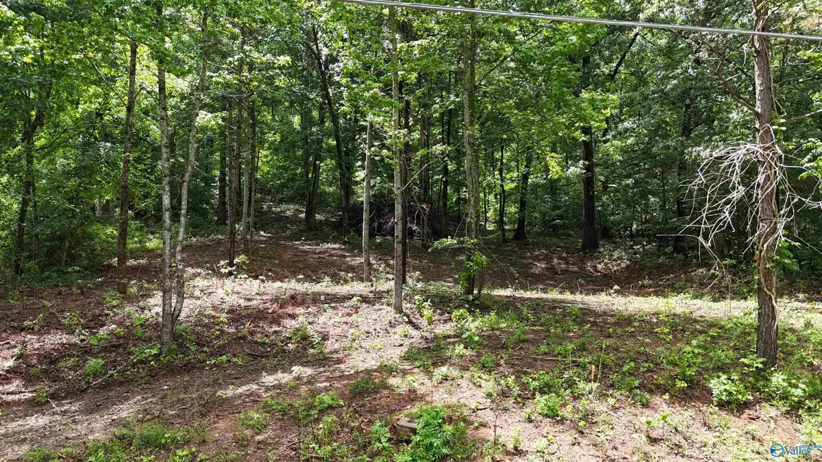 Lot 118 Honeycomb Valley Road, Grant, AL 35747 - #1
