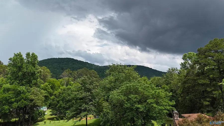 Lot 118 Honeycomb Valley Road, Grant, AL 35747 - #2