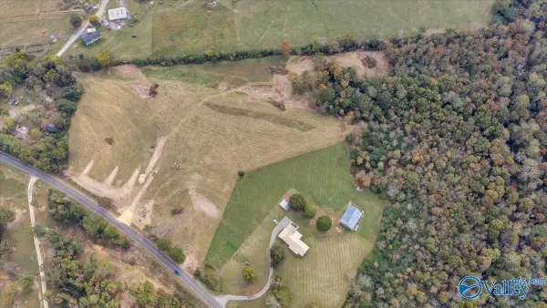 lot 3 Blue Pond Blvd, Sylvania, AL 35988