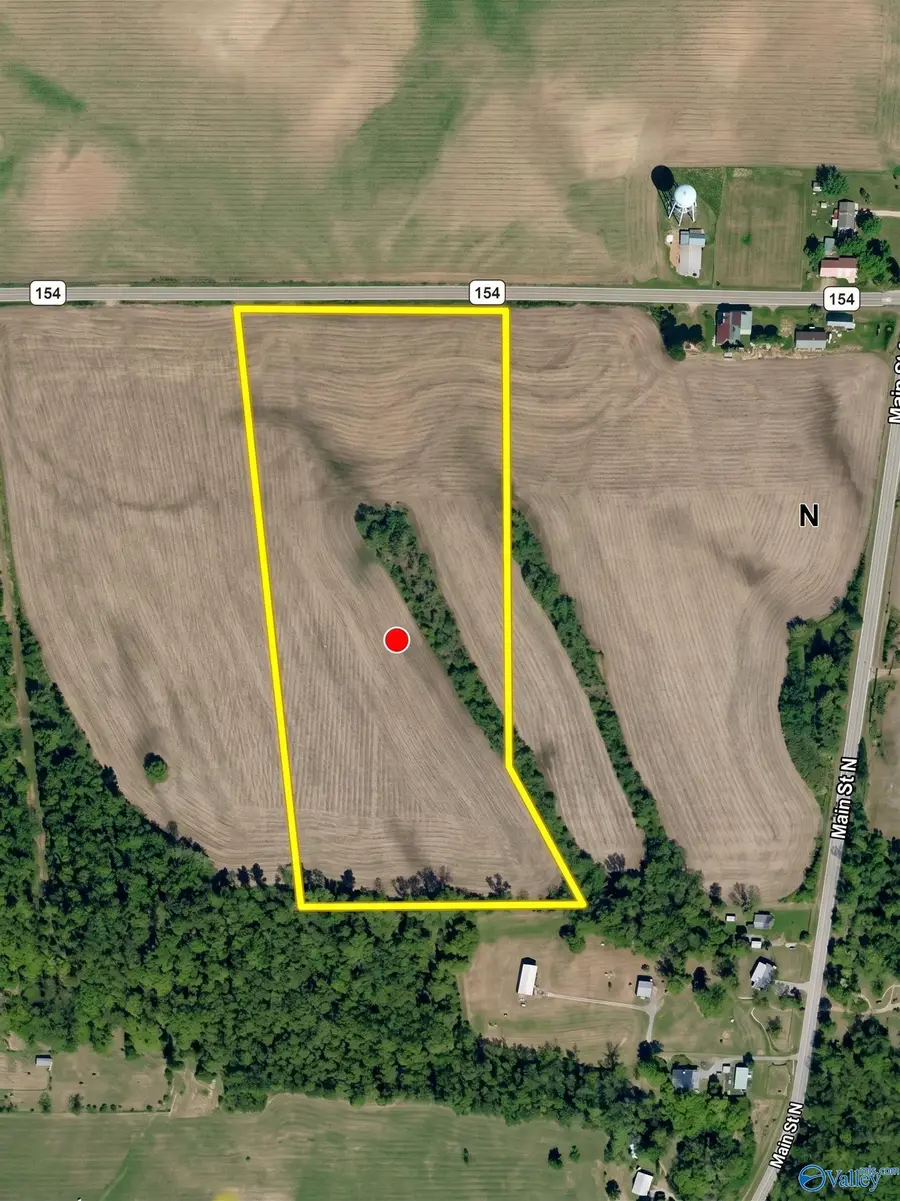 15.98 Acres County Road 154, Section, AL 35771 - #2