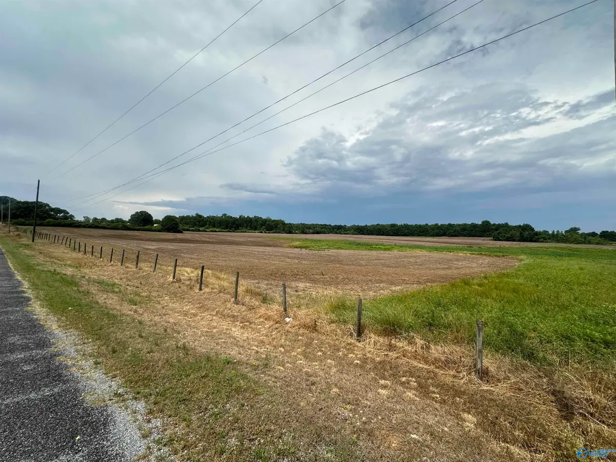 30 ACRES County Road 271, Fort Payne, AL 35967 - #1